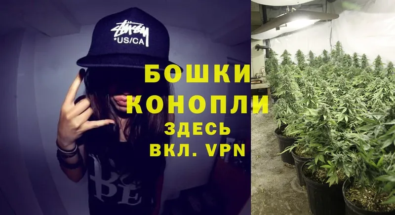 Канабис Ganja  Ртищево 